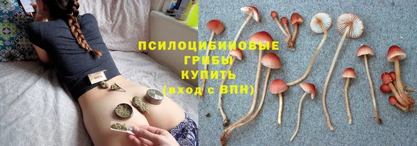 каннабис Новодвинск