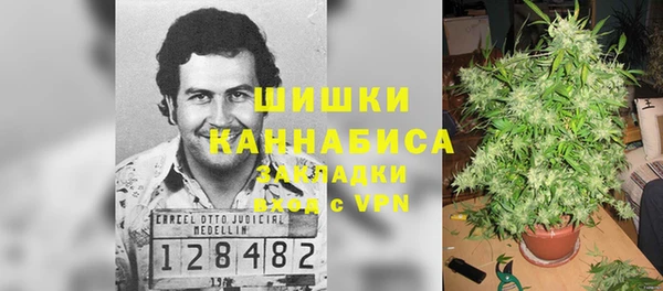каннабис Новодвинск
