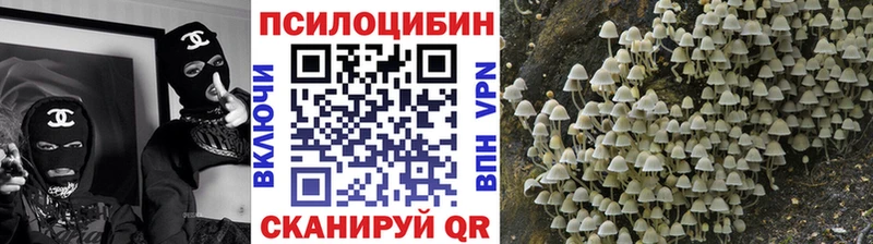 Галлюциногенные грибы ЛСД  Великий Новгород 